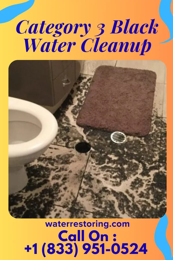Category 3 Black Water Cleanup in Riverdale Park, MD