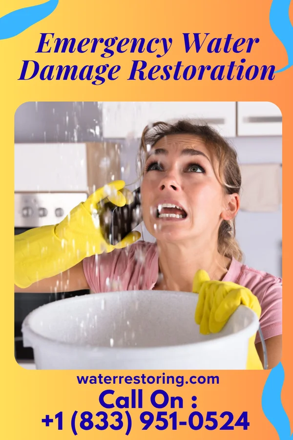 Emergency Water Damage Restoration in Riverdale Park, MD