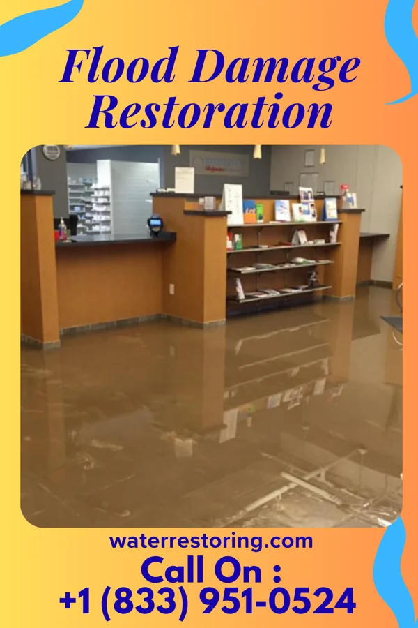 Flood Damage Restoration in Riverdale Park, MD