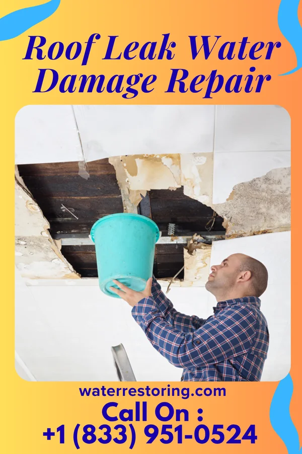 Roof Leak Water Damage Repair in Riverdale Park, MD
